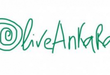 oliveankara虚拟信用卡购物教程-虚拟信用卡